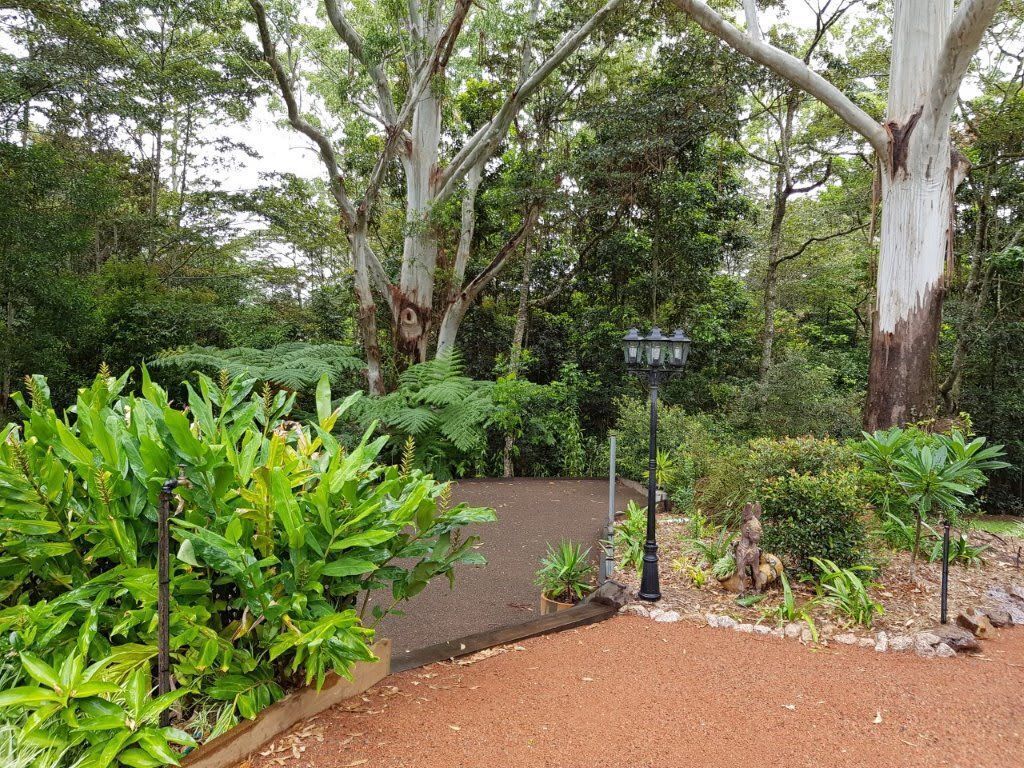 King Parrot Apartment set Amid the Beautiful & Peaceful Rainforest With Garden v