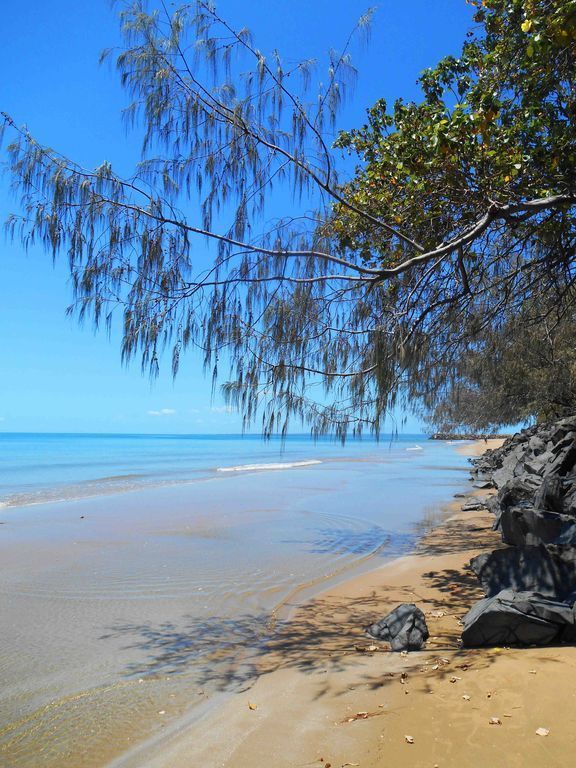 Sea Breeze & Water Views Among the Palm Tree Canopy -apt 4