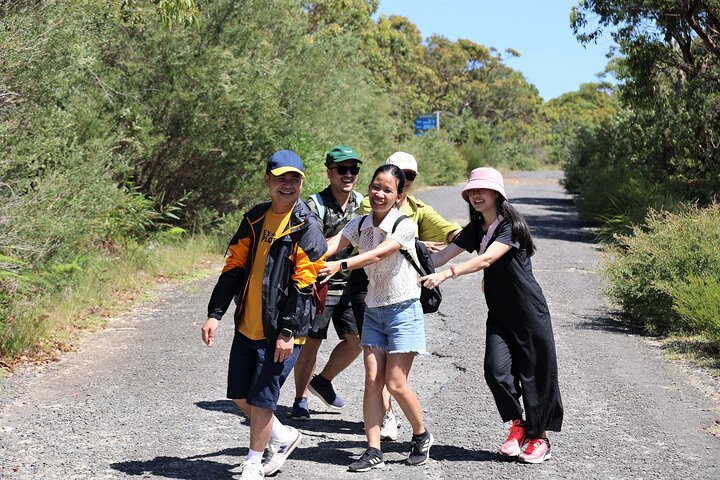 Small Group Blue Mountains Day Tour from Sydney