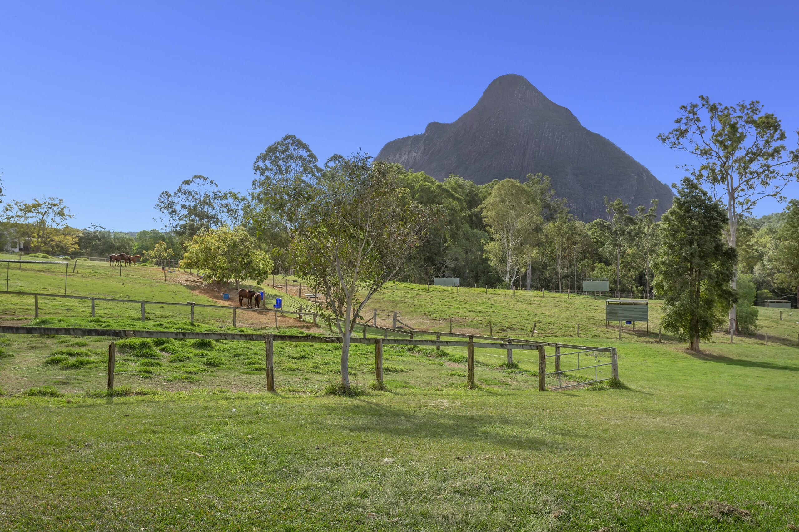 Sunshine Coast Farm Stay