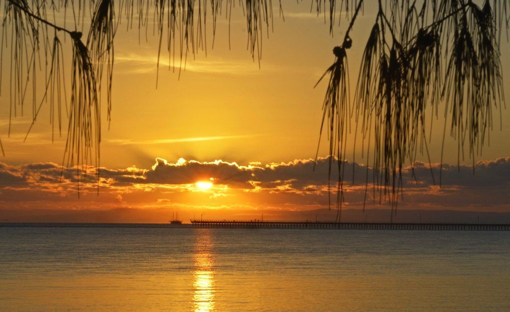 Sea Breeze & Water Views Among the Palm Tree Canopy -apt 4