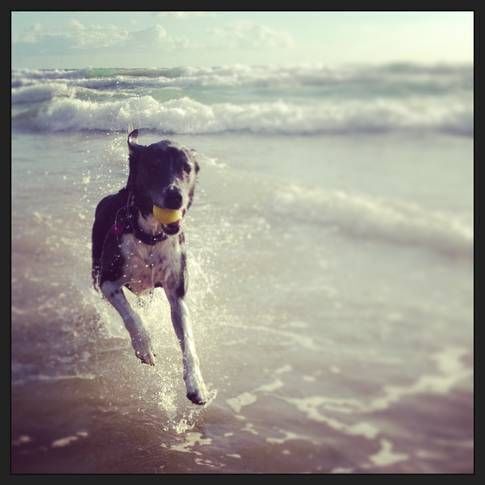 Zeby's Beach Break - Located at Mount Coolum