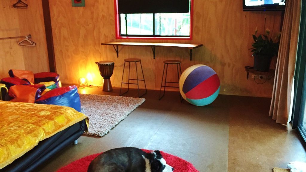 Pet Friendly Timber Gym Cabin