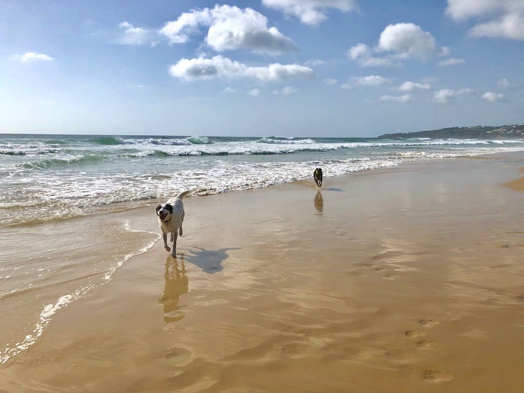 Billy's Beach Retreat-coolum Beach- Pet Friendly Home-linen Included-free Wi-fi