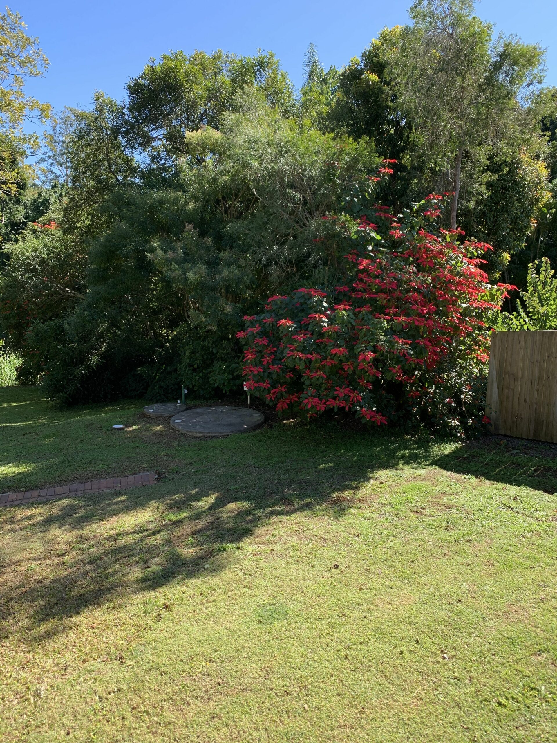 Beulah House Luxurious Holiday Accomodation in the Sunshine Coast Hinterland