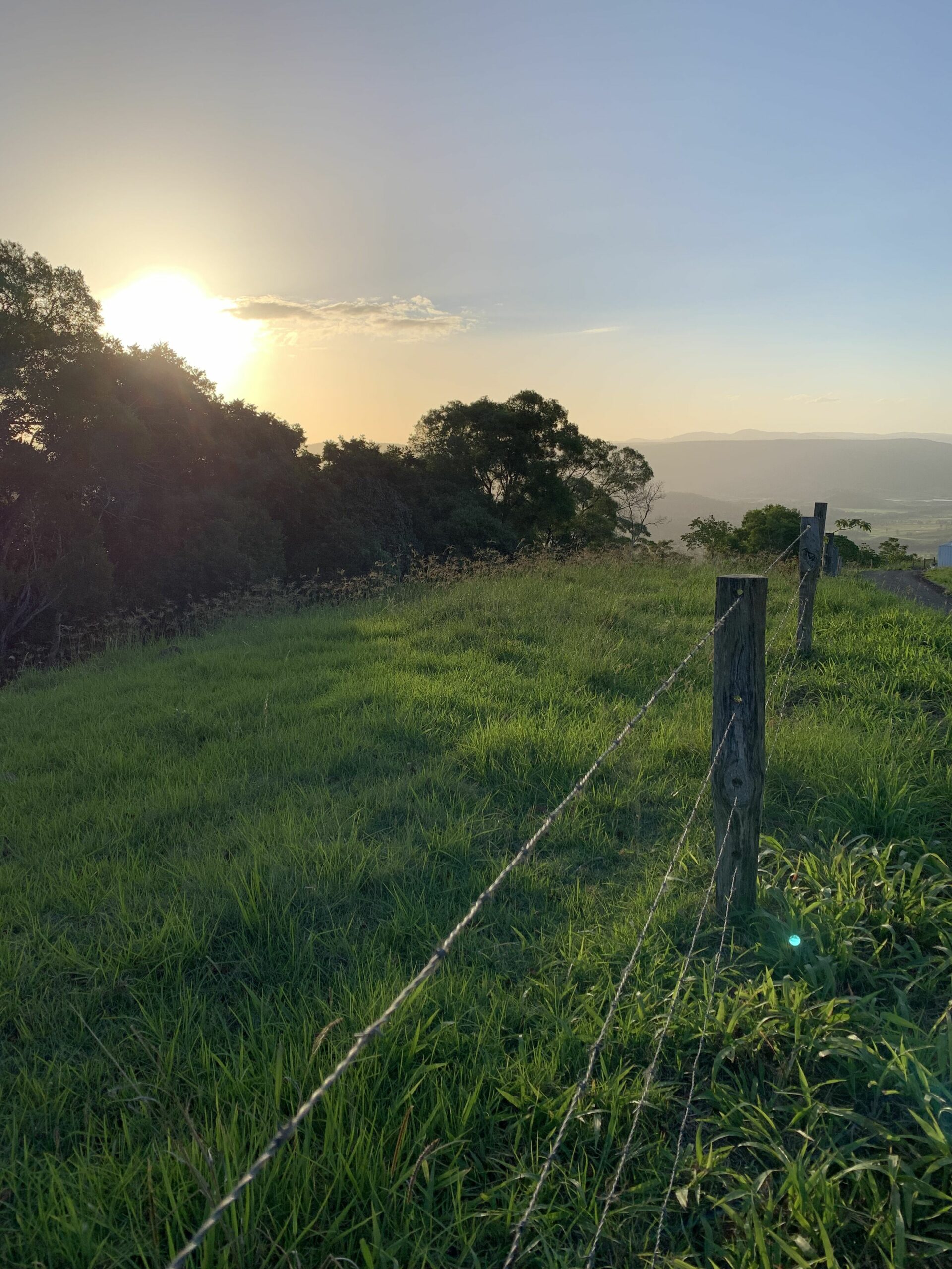 Scandinavian Cabin - Maleny - One Bedroom