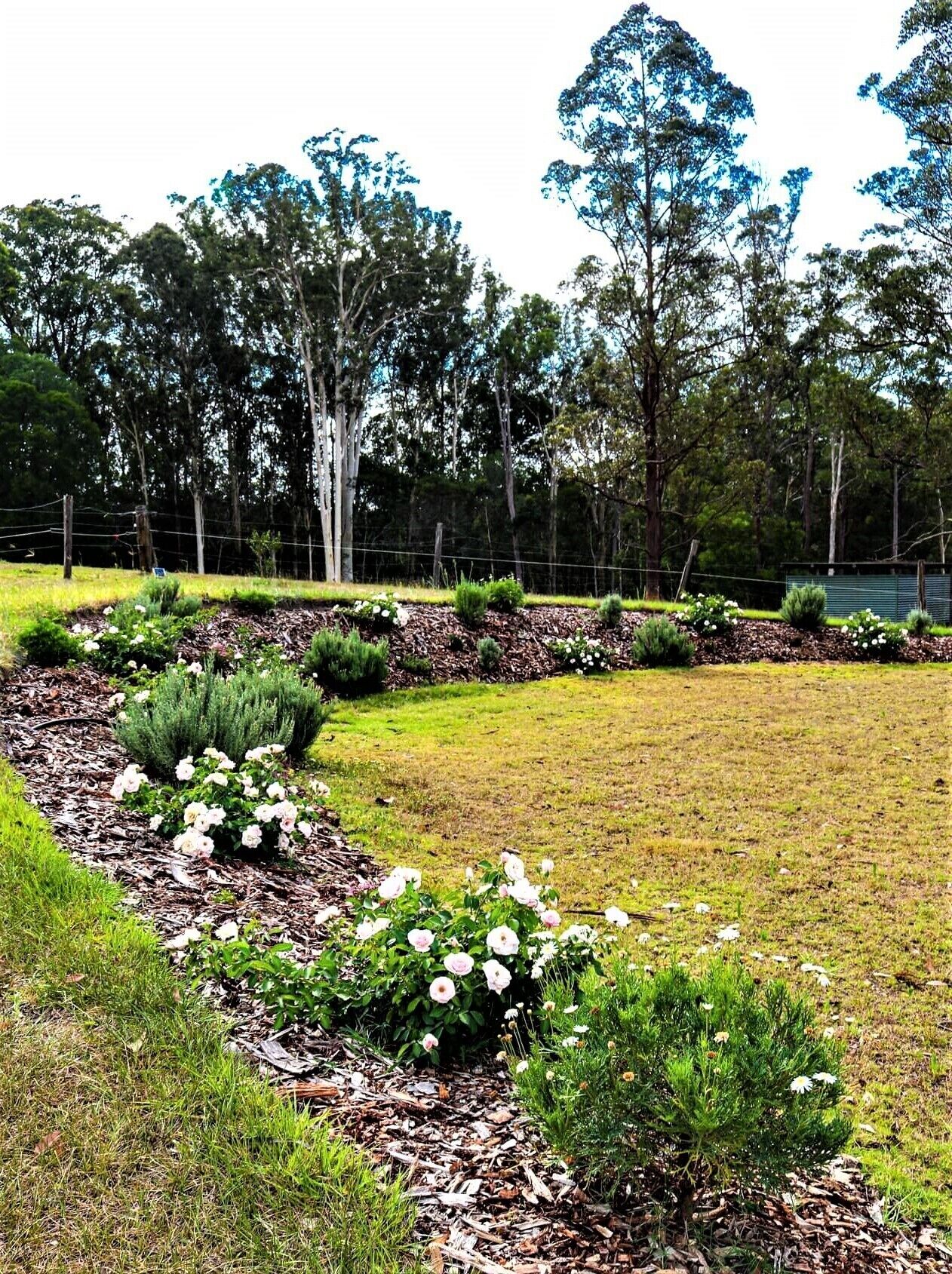 Sunshine Coast Farm Stay