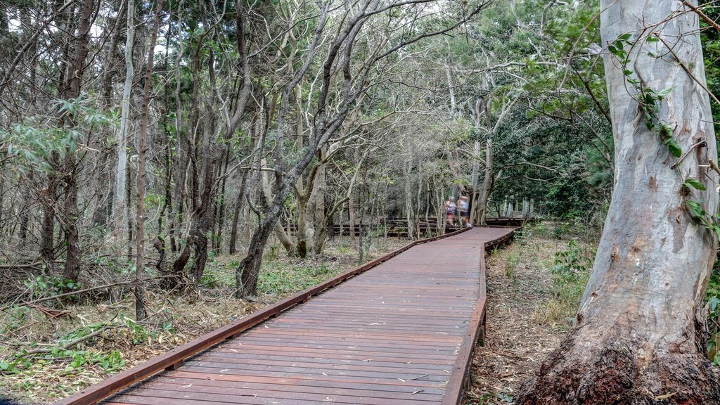 Jade Waters Hervey Bay