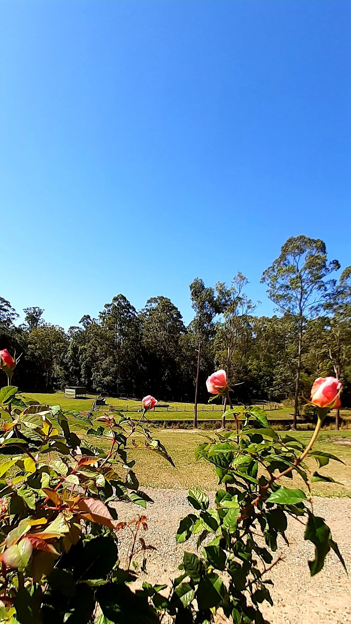 Sunshine Coast Farm Stay