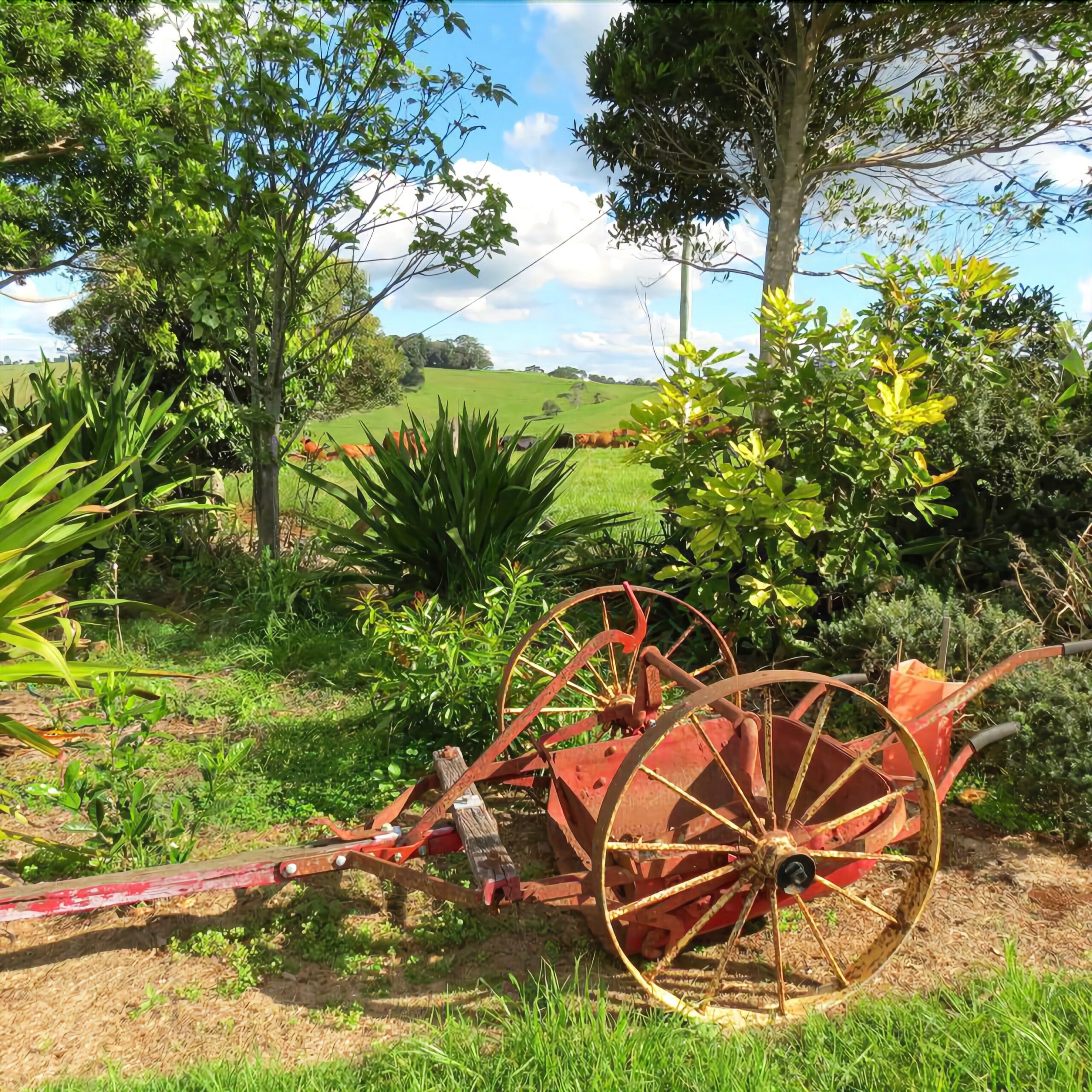 Maleny Springs Farm - Luxurious House on 100 Acres