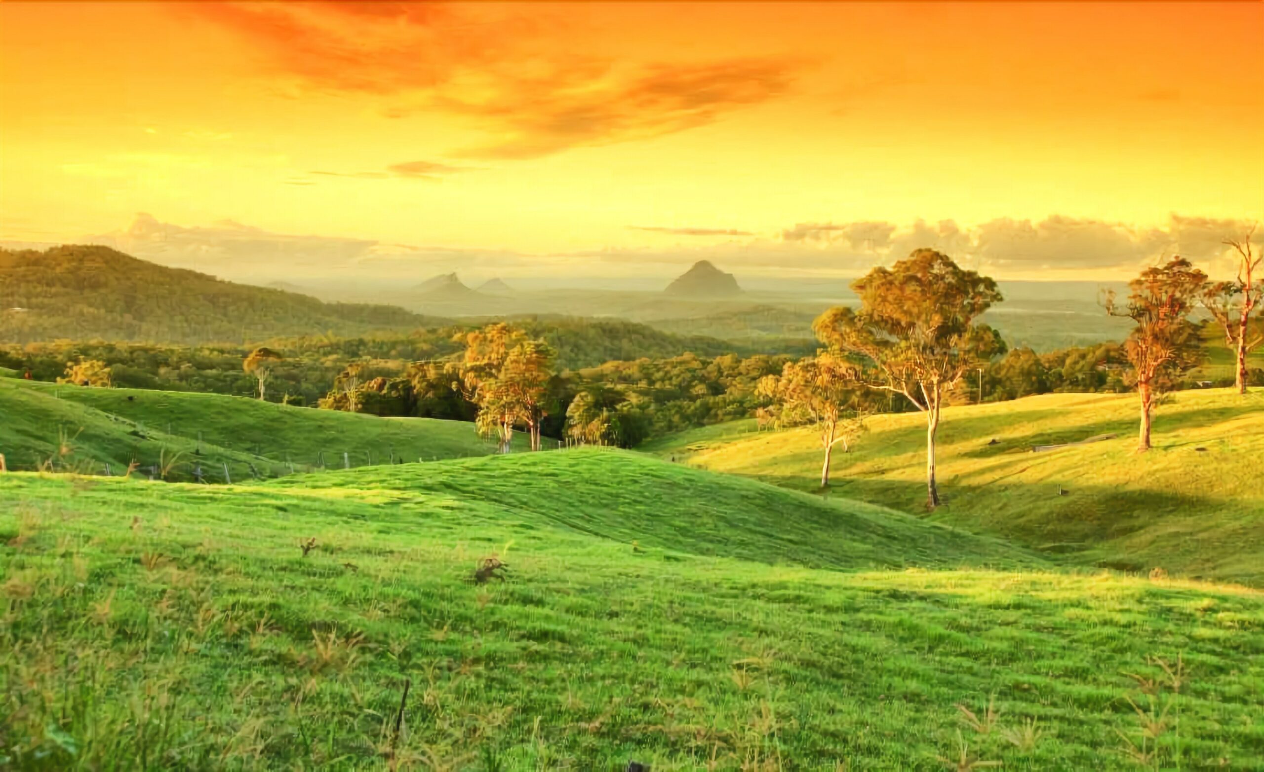 Maleny Springs Farm - Luxurious House on 100 Acres