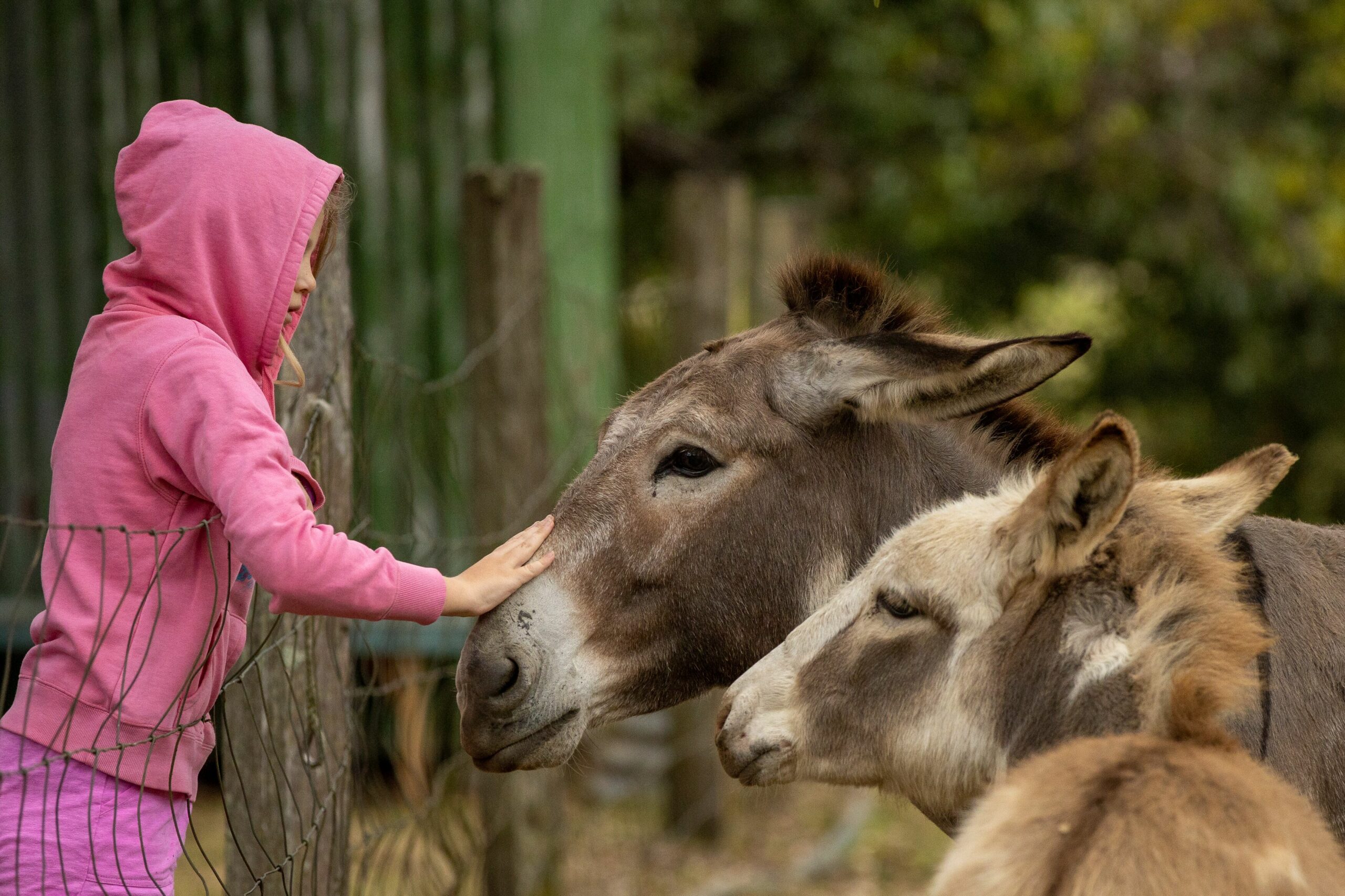 Family Escape, Animal Lovers