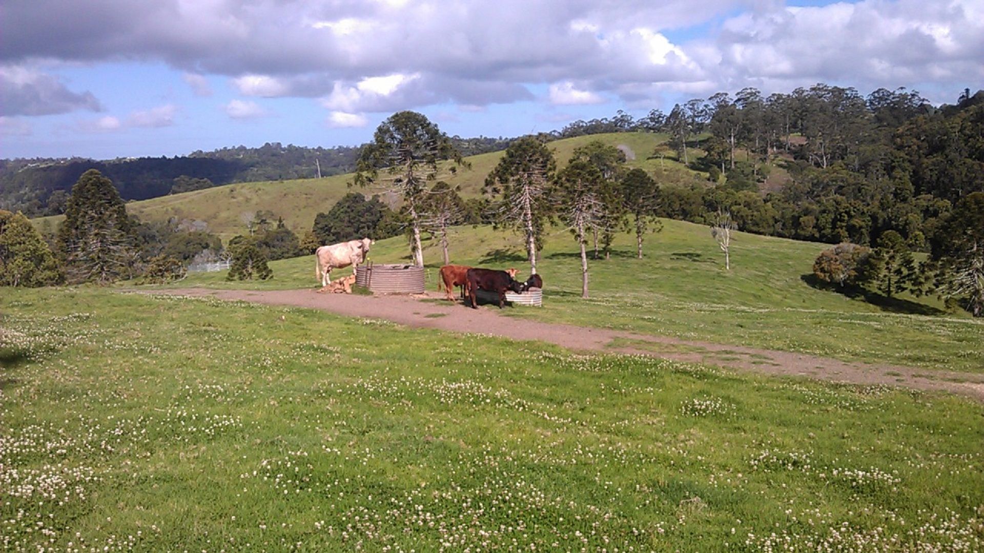 Bunya@maleny Farm House