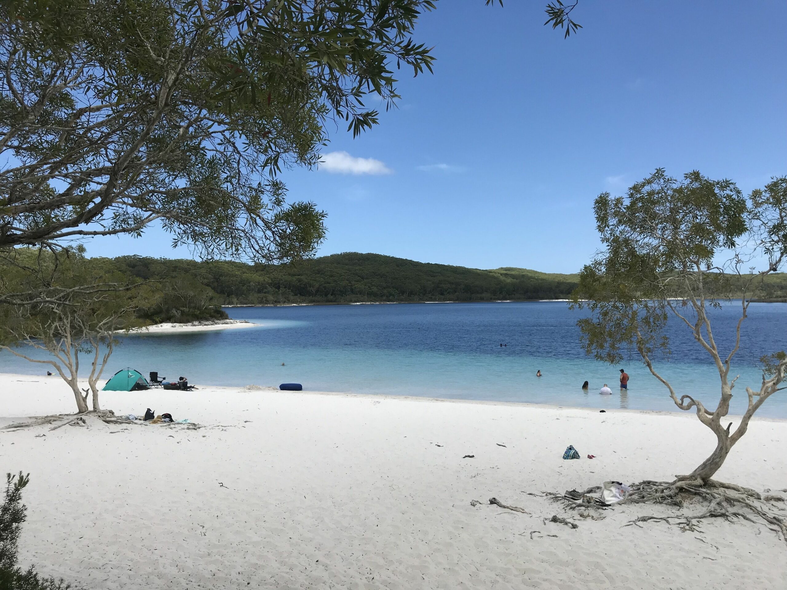 Kokomo at Kingfisher Bay "get There Fast Then Take it Slow!"