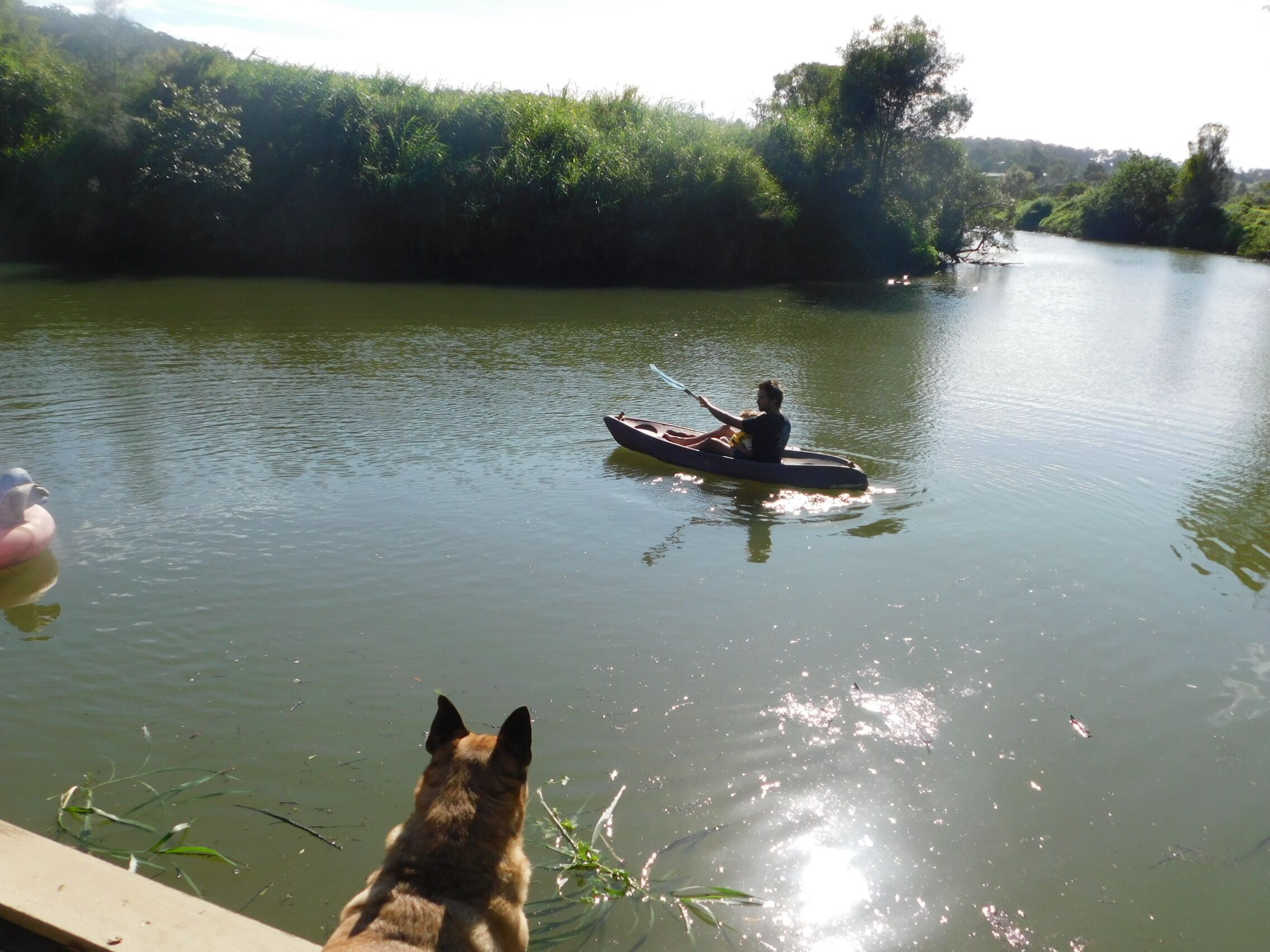 Bonfires, BYO kayak or Tinny, Fishing on-site & Dogs run free!
