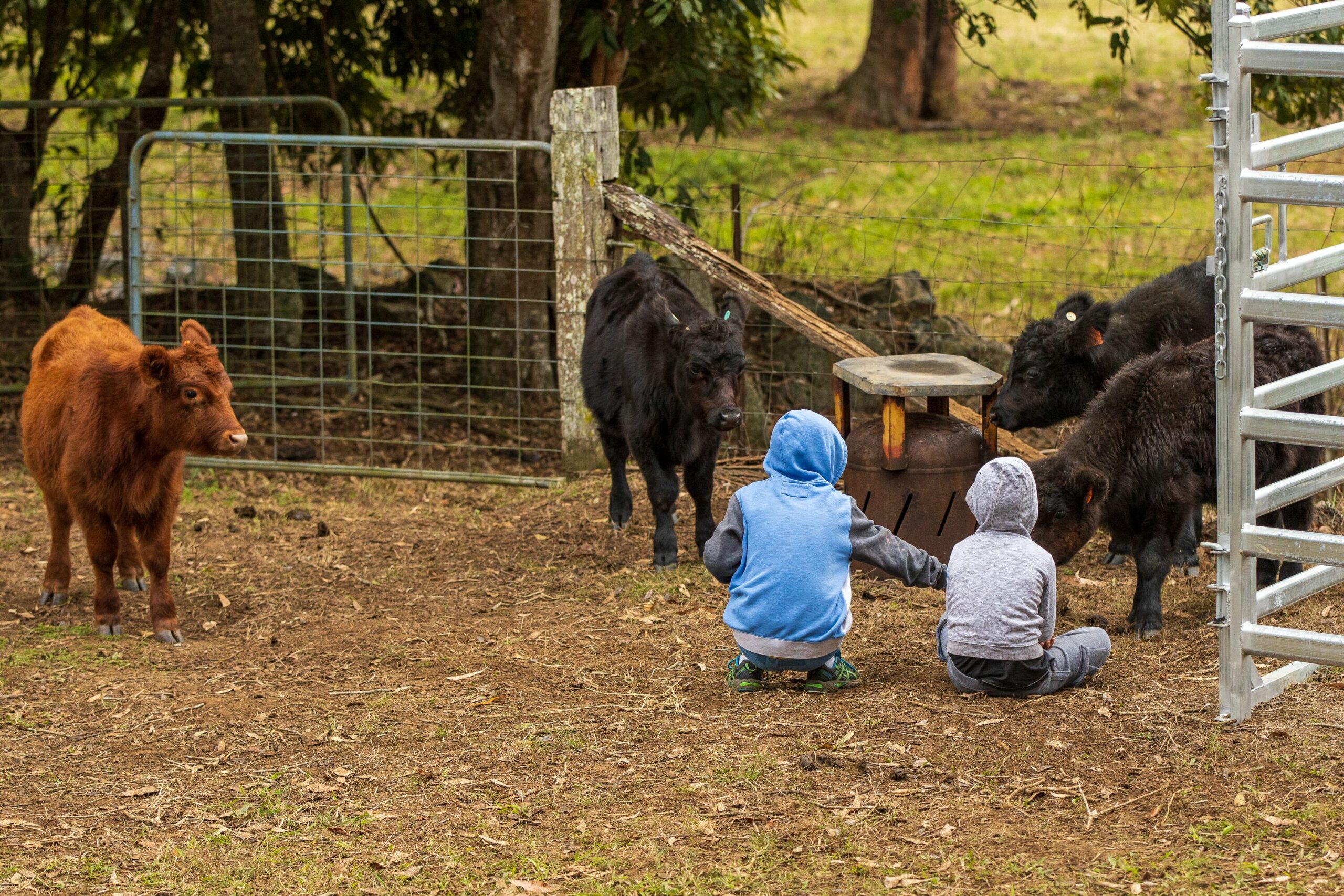 Family Escape, Animal Lovers