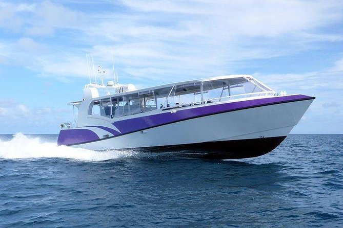 Skedaddle Express Outer Great Barrier Reef Tour from Cairns