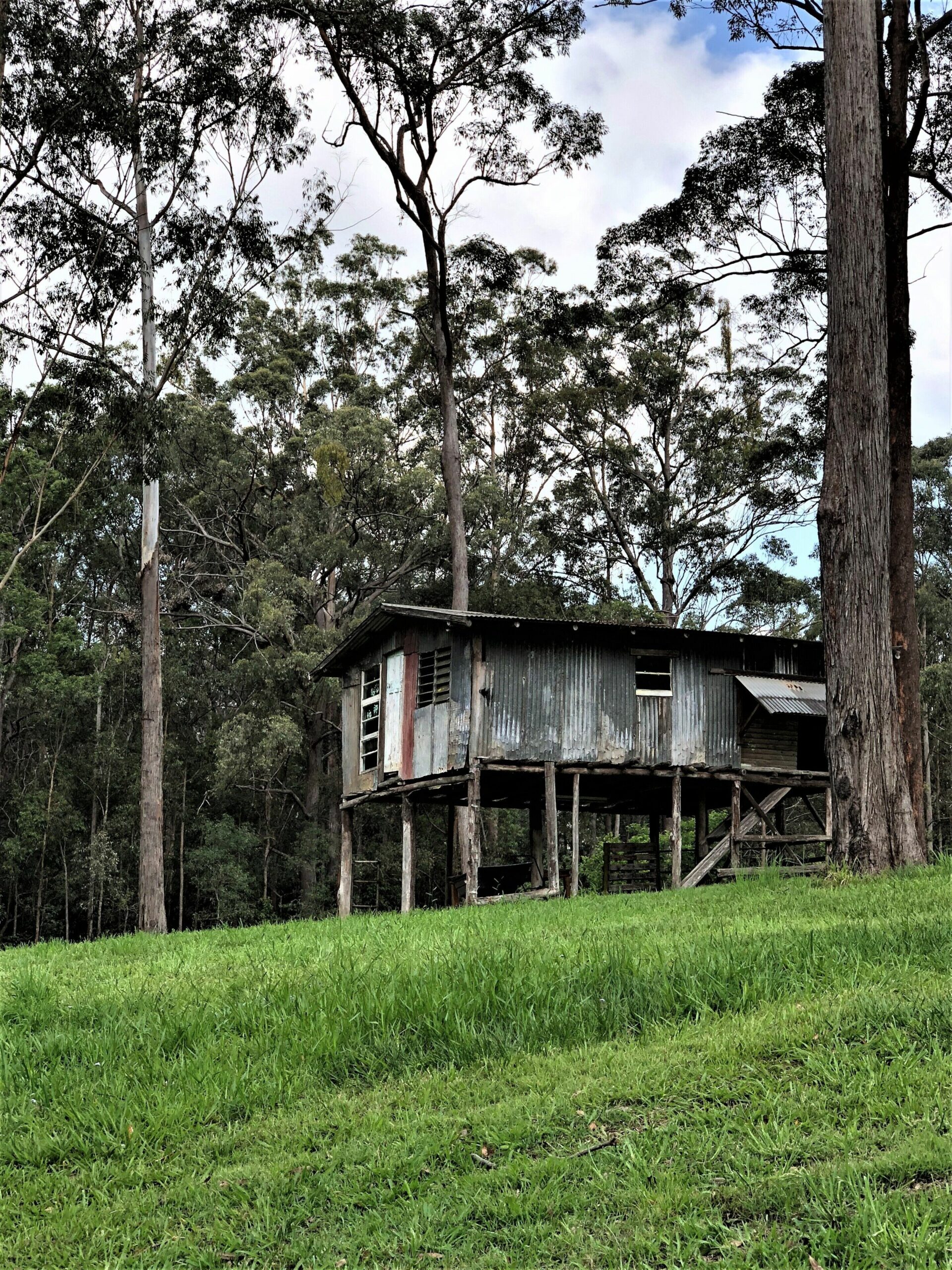 Sunshine Coast Farm Stay