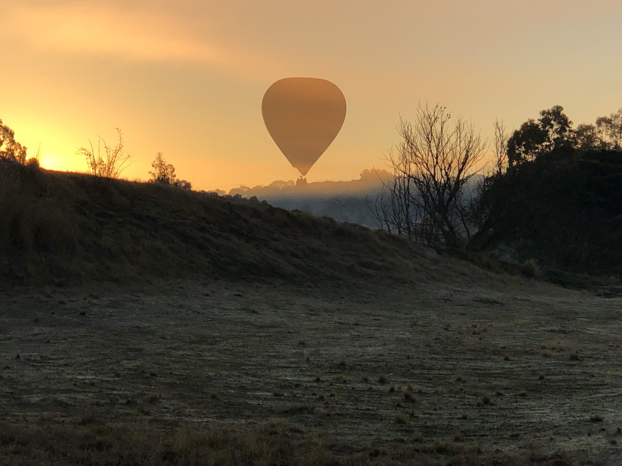Ballooning in Perth