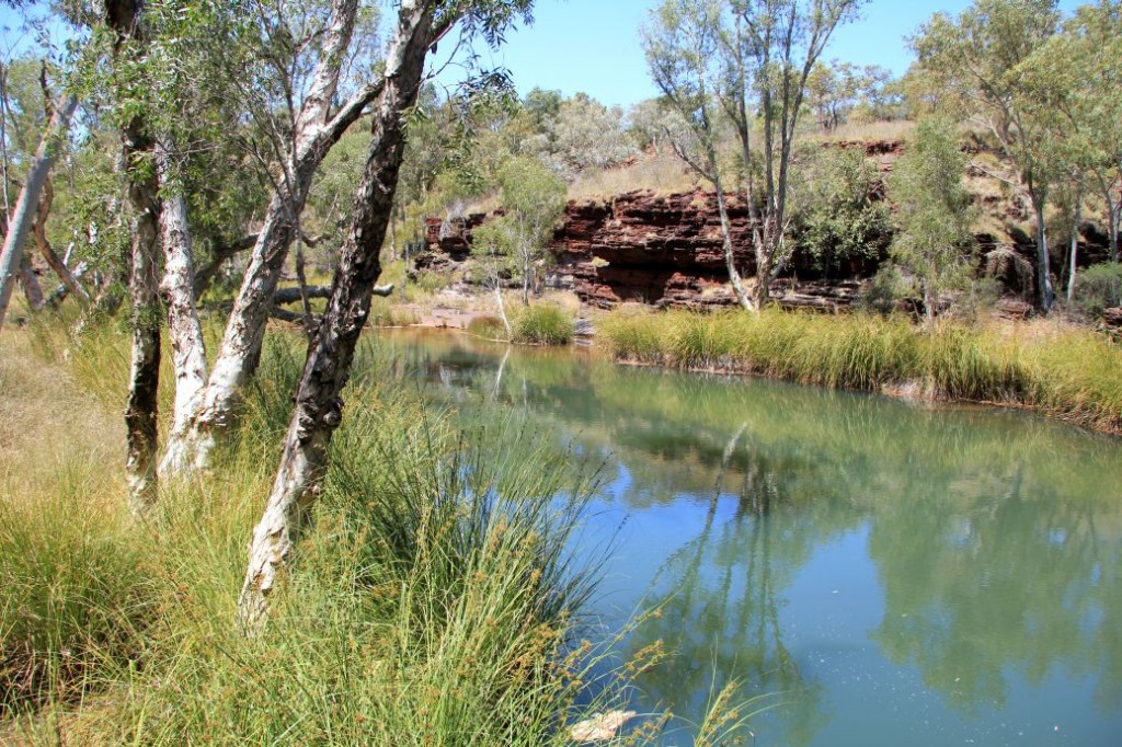 Pilbara Karratha Karijini Ningaloo Tours