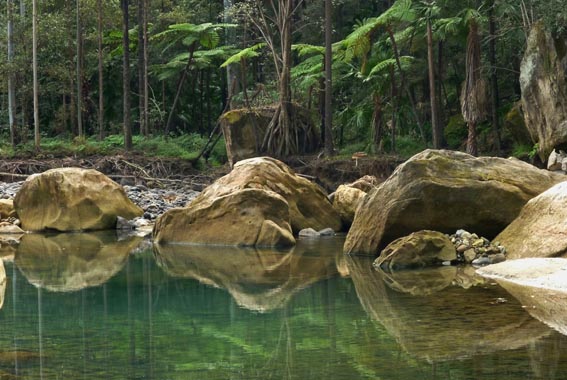 7 Day Carnarvon Gorge with Bunya Mountains and Cania Gorge