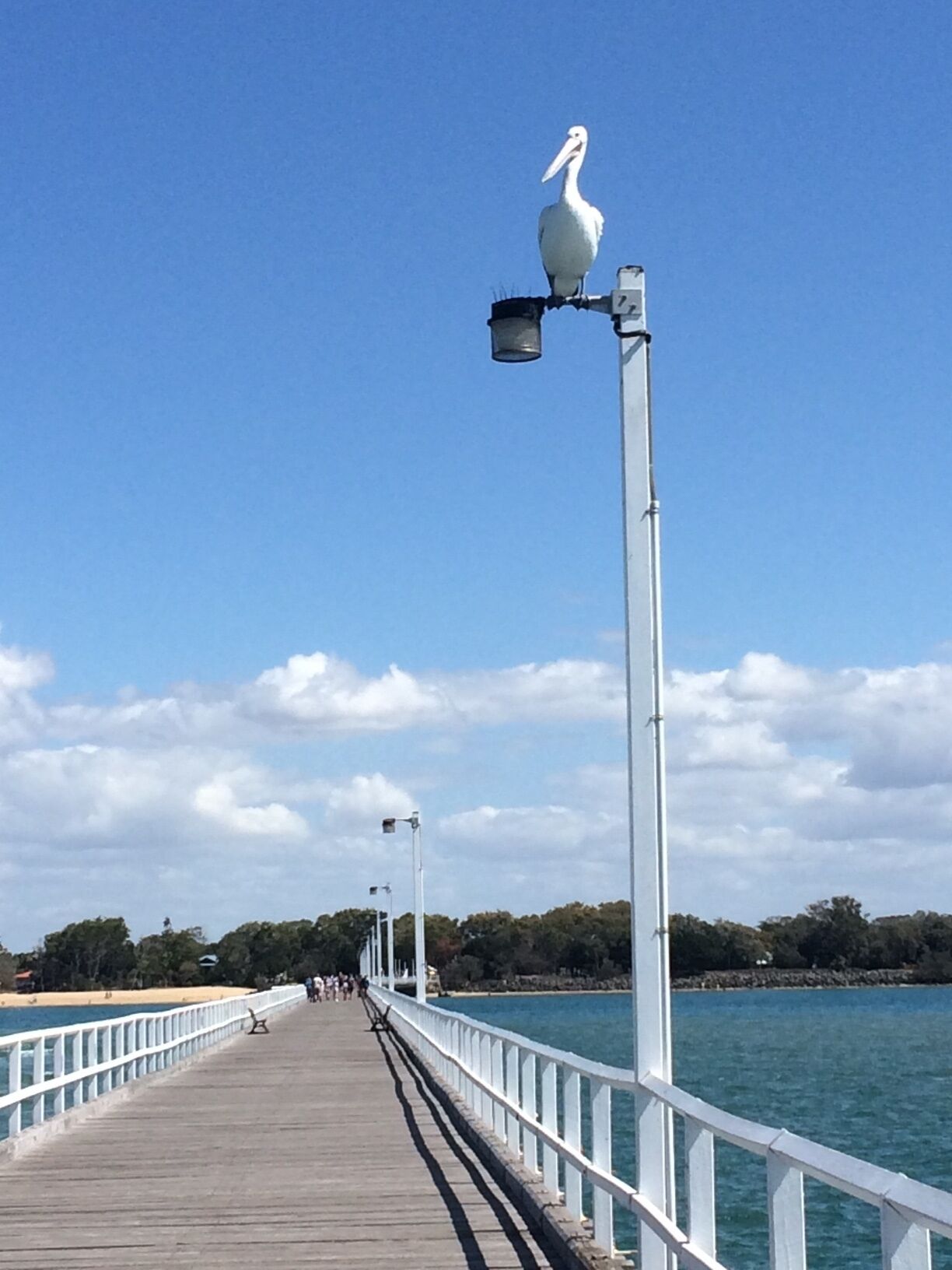 Entire Ground Floor Accommodation, Swim Beach,marina,fraser Island & Ocean