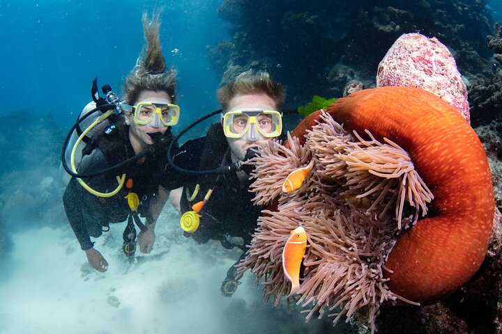 Full-Day Great Barrier Reef Sailing Trip