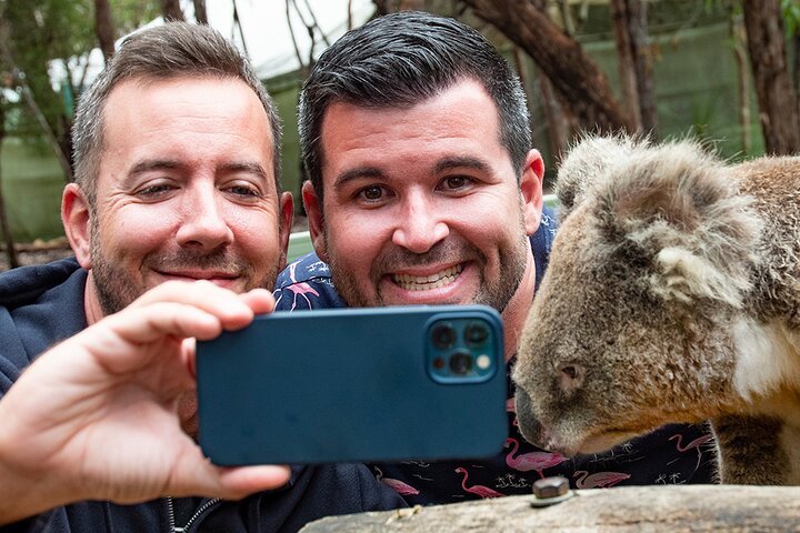 Kangaroos & Koala encounter experience (Half day private tour)