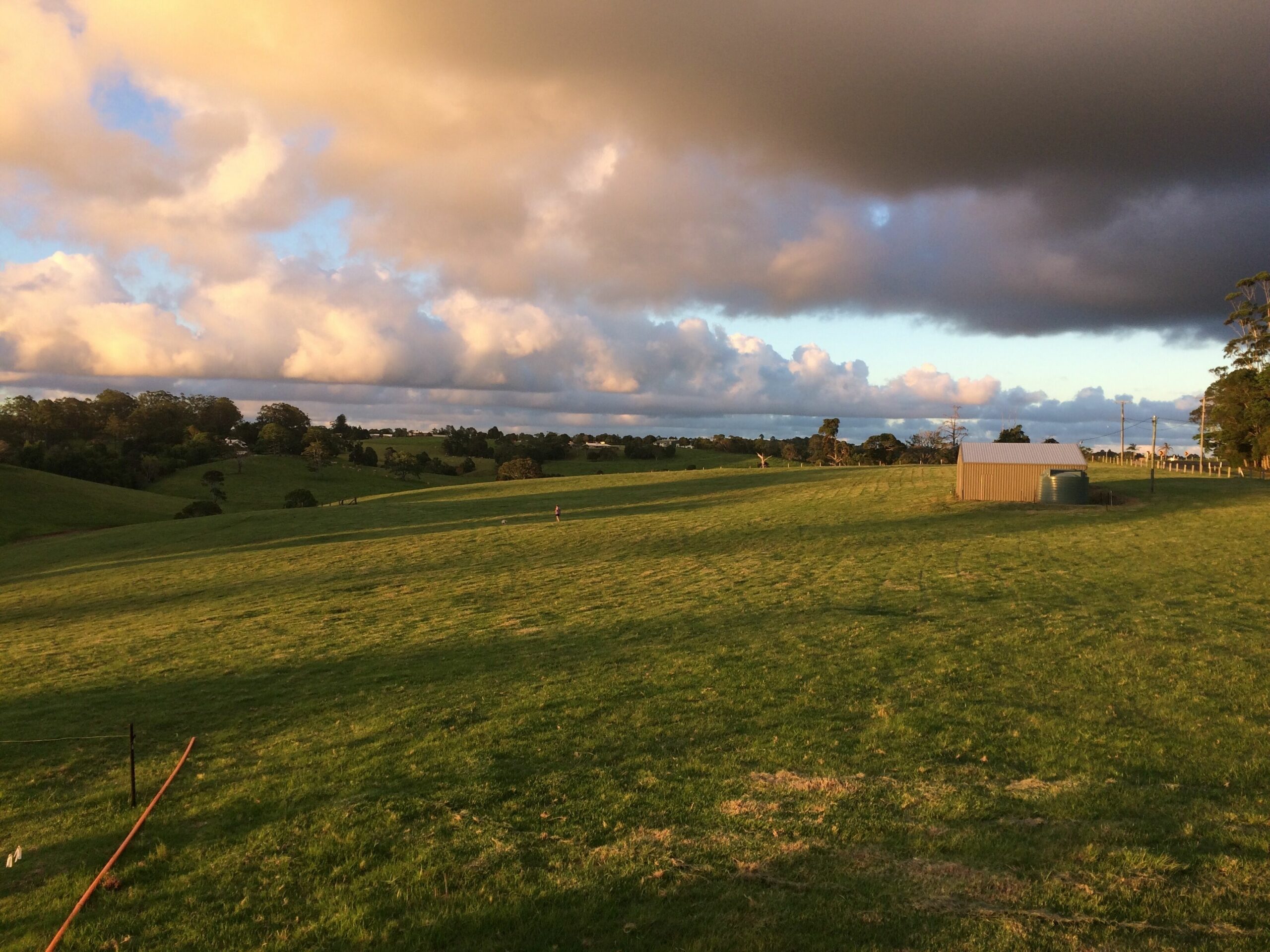 Maleny Clover Cottages