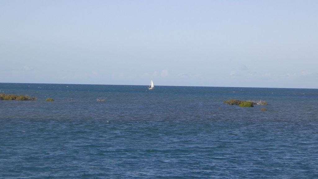 Jack's Shack - Beach Front Piece of Paradise