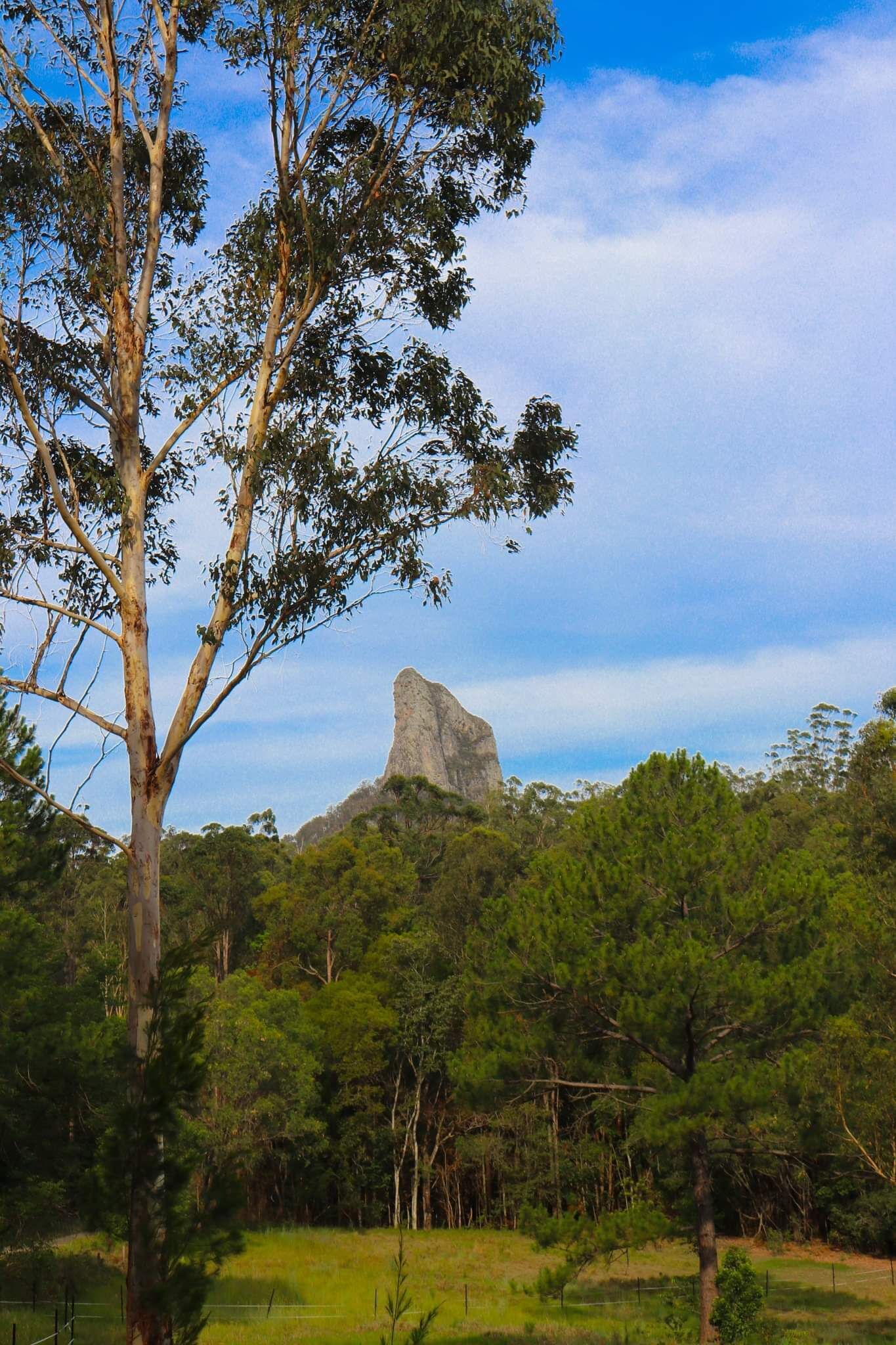 Sunshine Coast Farm Stay