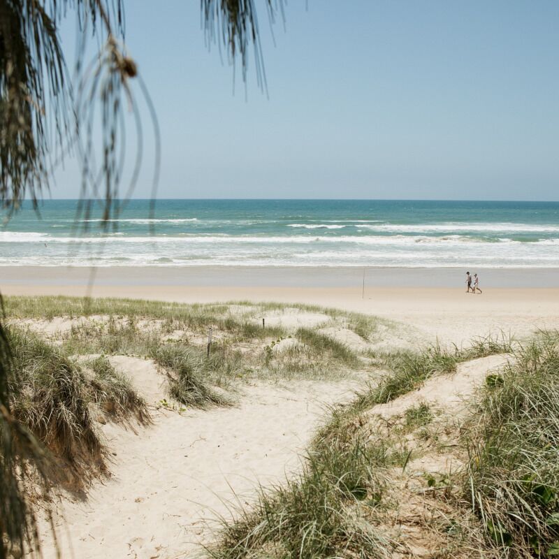 Orangewood at Peregian Beach, Wifi, Aircon, Dogfriendly