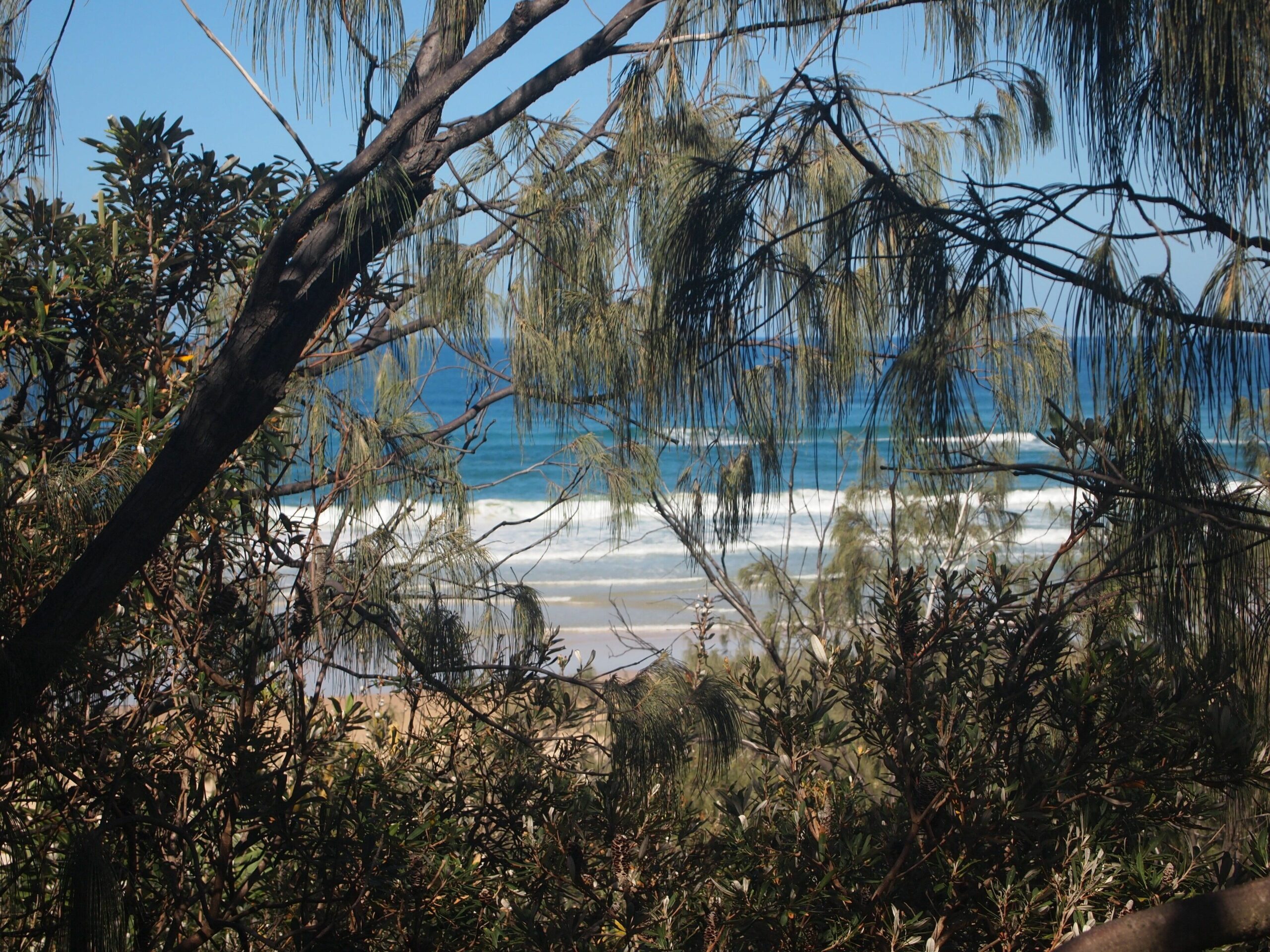 Pipis at Poyungan, "The Dunes" one of the few beachfront homes on Fraser island