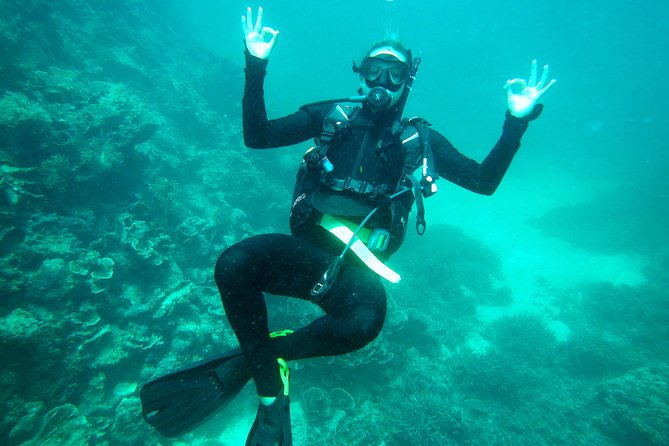 Skedaddle Express Outer Great Barrier Reef Tour from Cairns