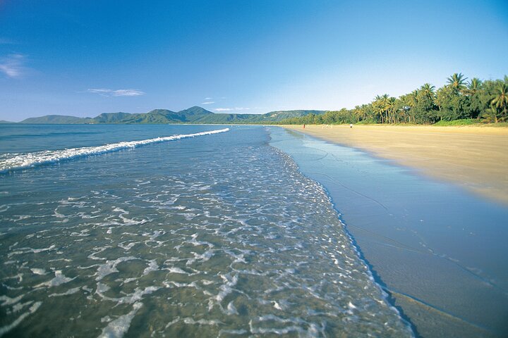 Cairns to Port Douglas one way Private Transfer 1 to 6 pax
