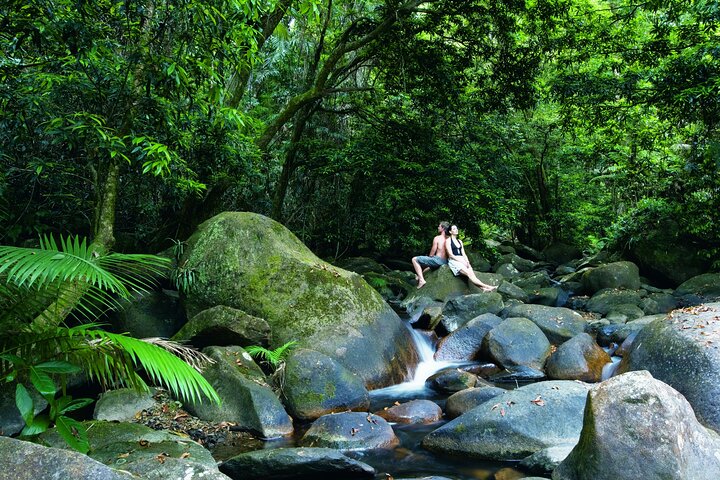 Cairns 4WD Waterfall and Rainforest Tour Including Kuranda Scenic Railway
