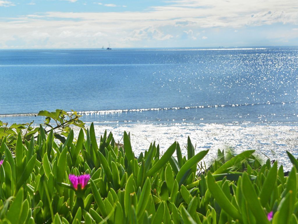 Garden View Apartment Opposite The Beach