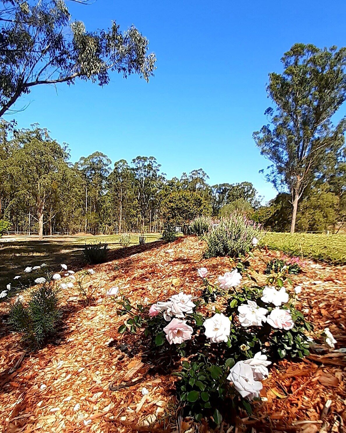 Sunshine Coast Farm Stay