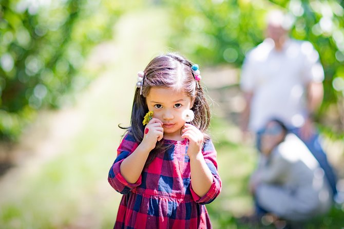 10-hour Yarra Valley Private Photography Tour (Cantonese/ Mandarin)