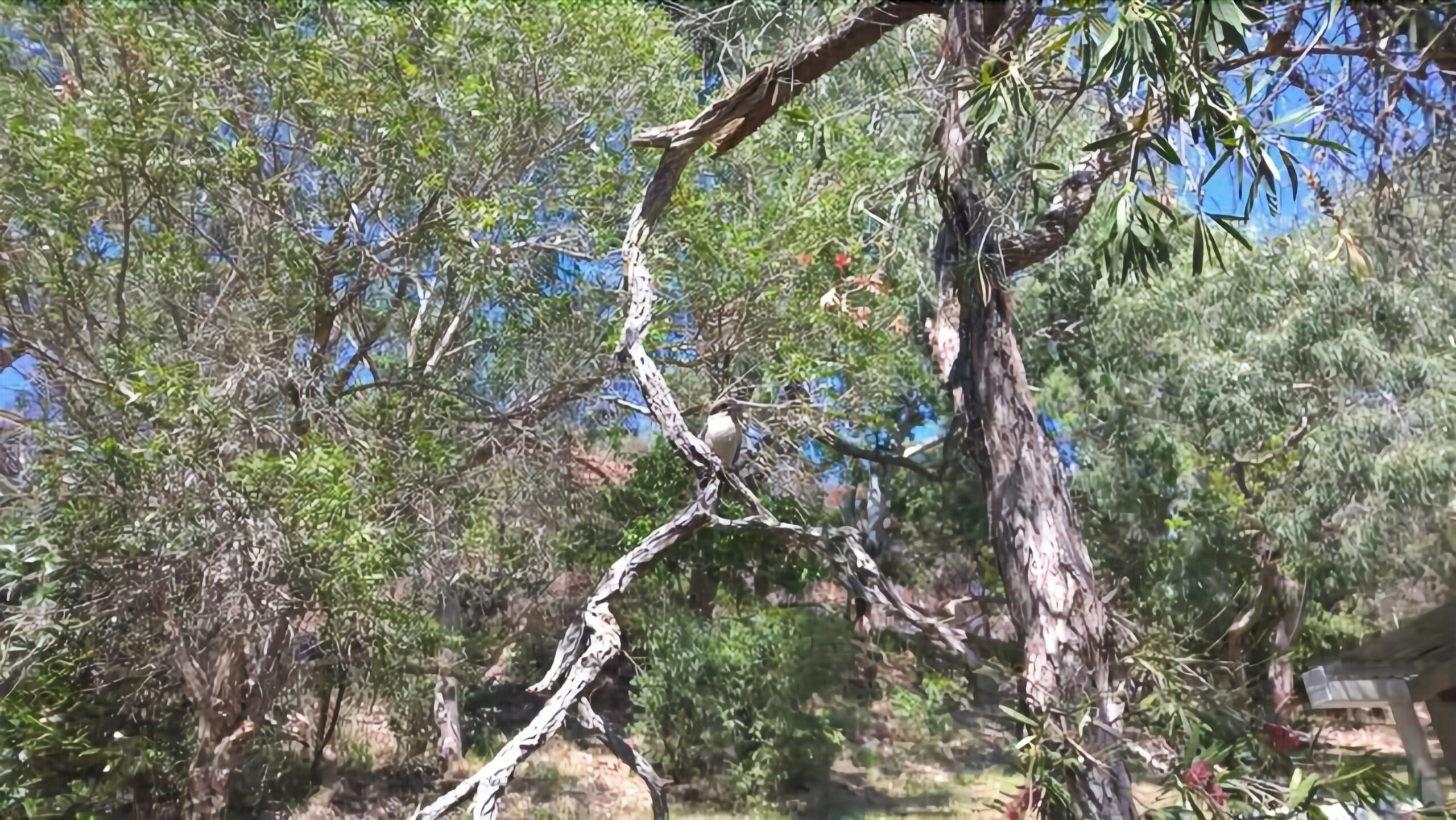 Lil's Place - Fraser Island - Happy Valley