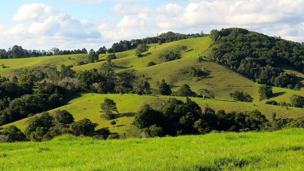 Maleny Springs Farm – Luxurious House on 100 Acres