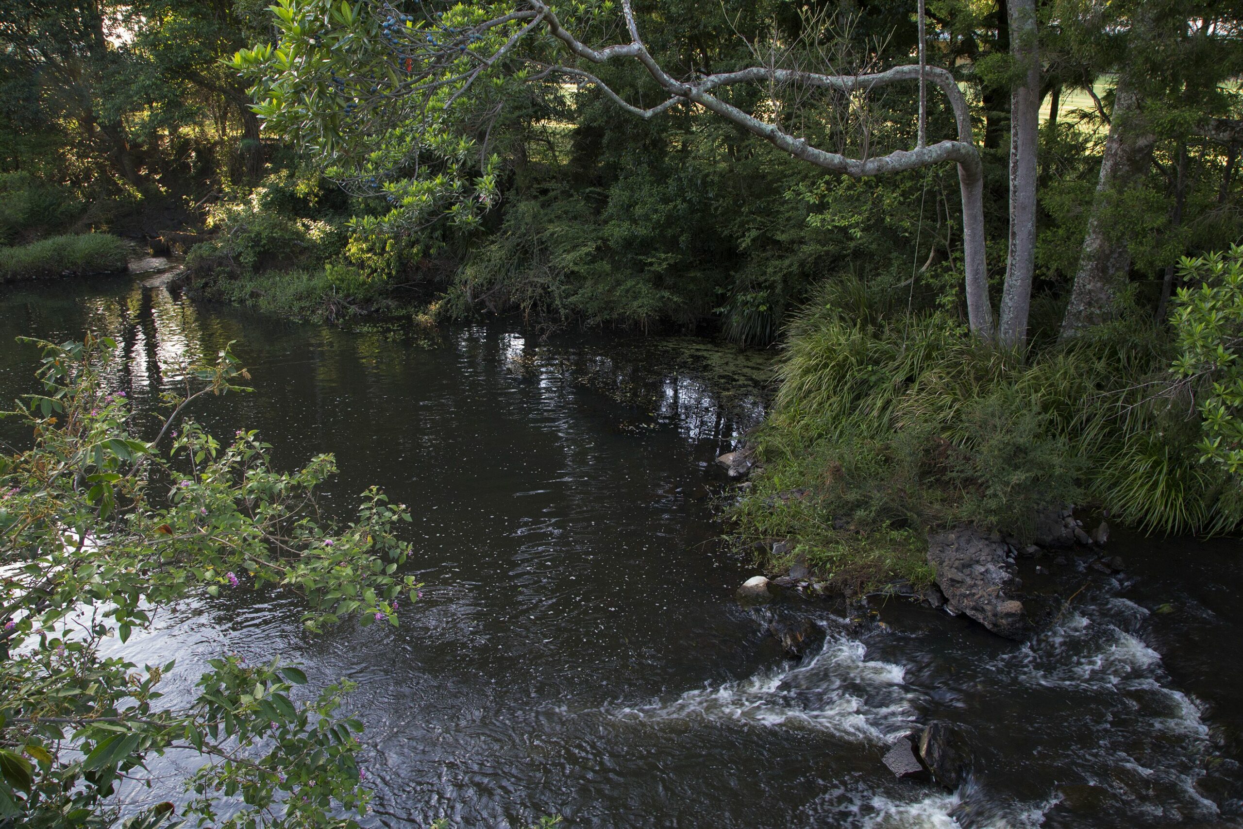 Where Hinterland birdsong welcomes you