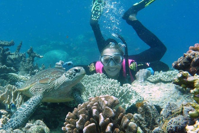 Skedaddle Express Outer Great Barrier Reef Tour from Cairns