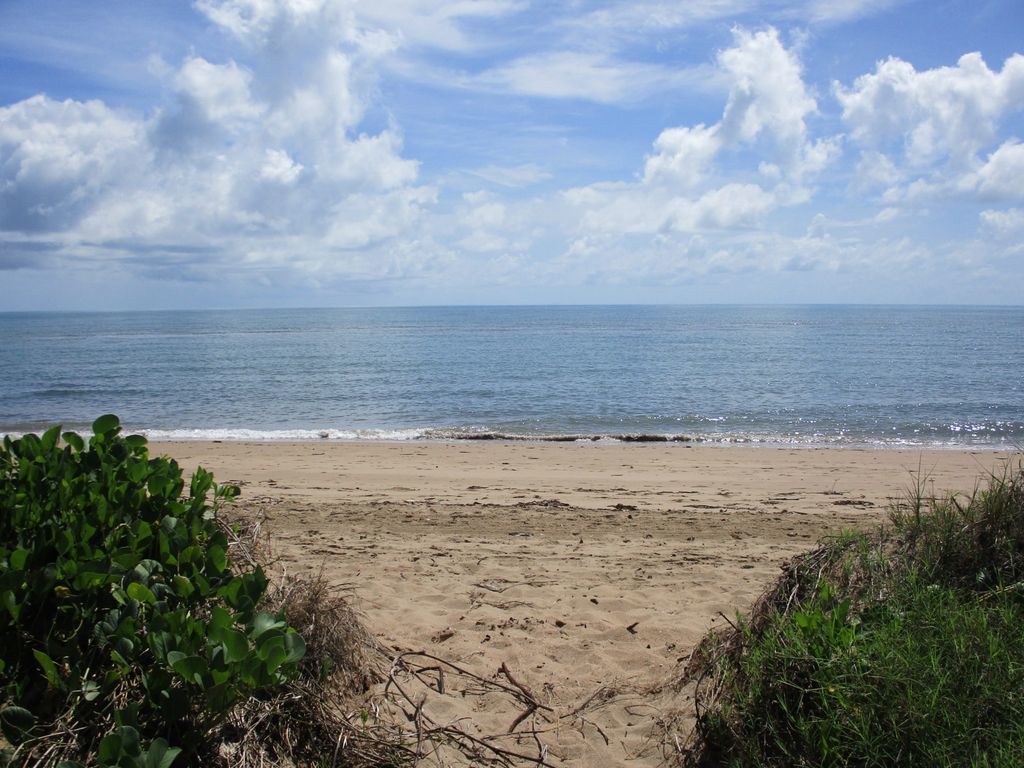 Sea Wood Delight in Hervey Bay