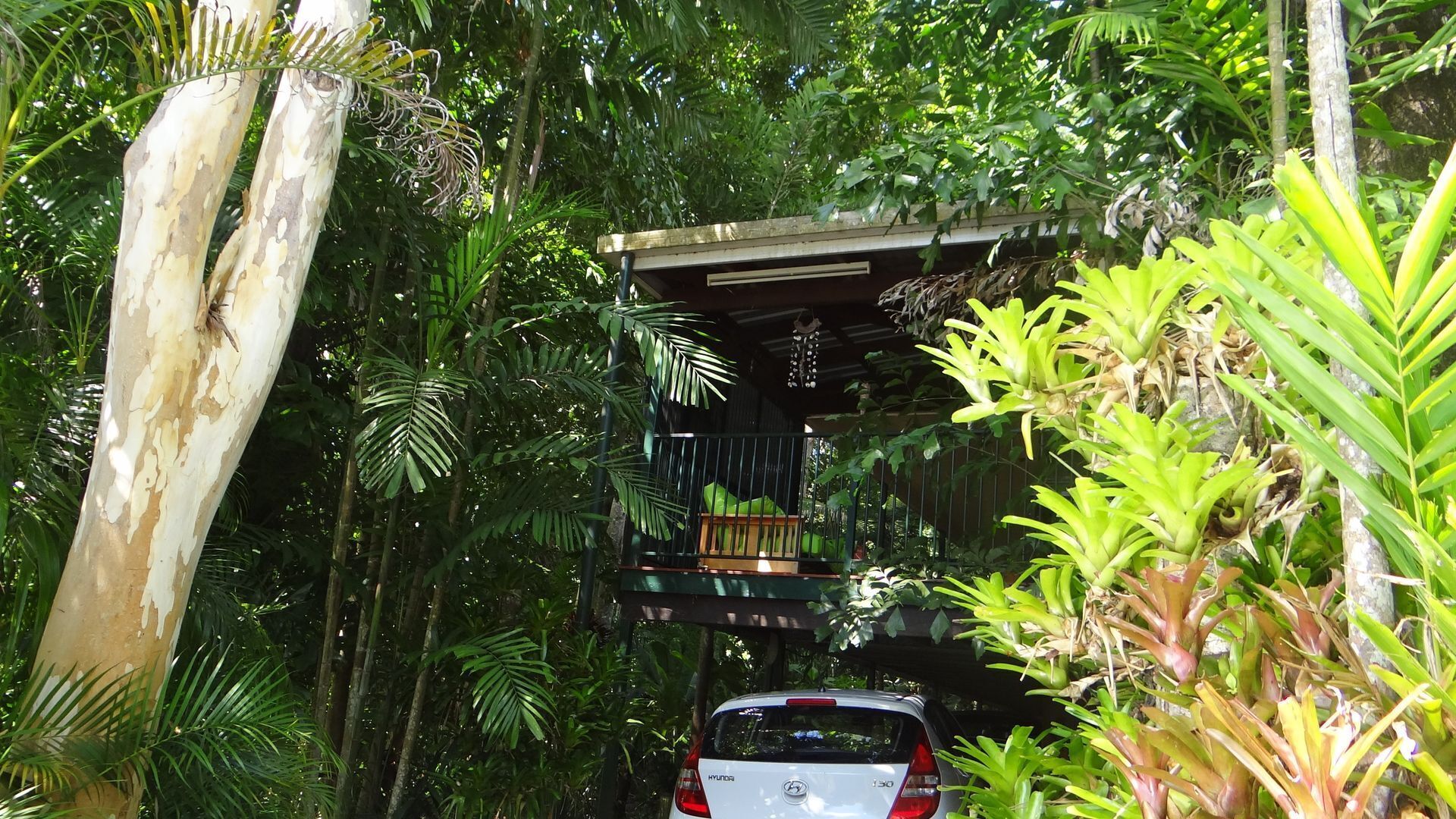 Rainforest Paradise, Close to Cairns CBD