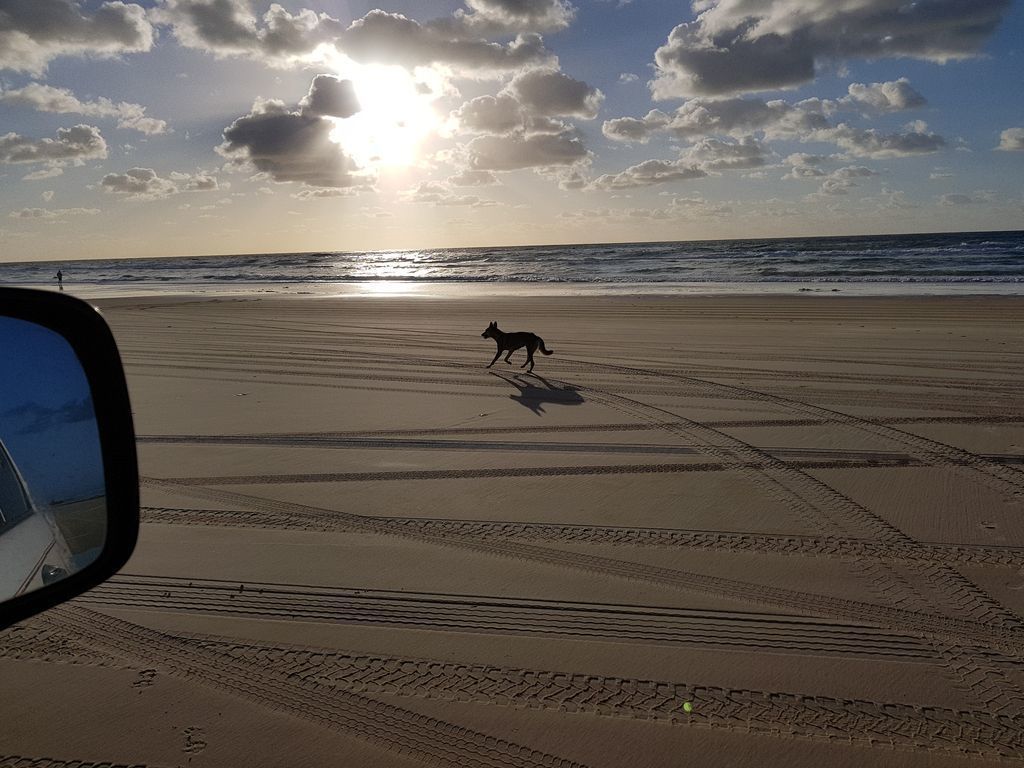 Fraser Island, The Taxi House. Sleeps 9 People