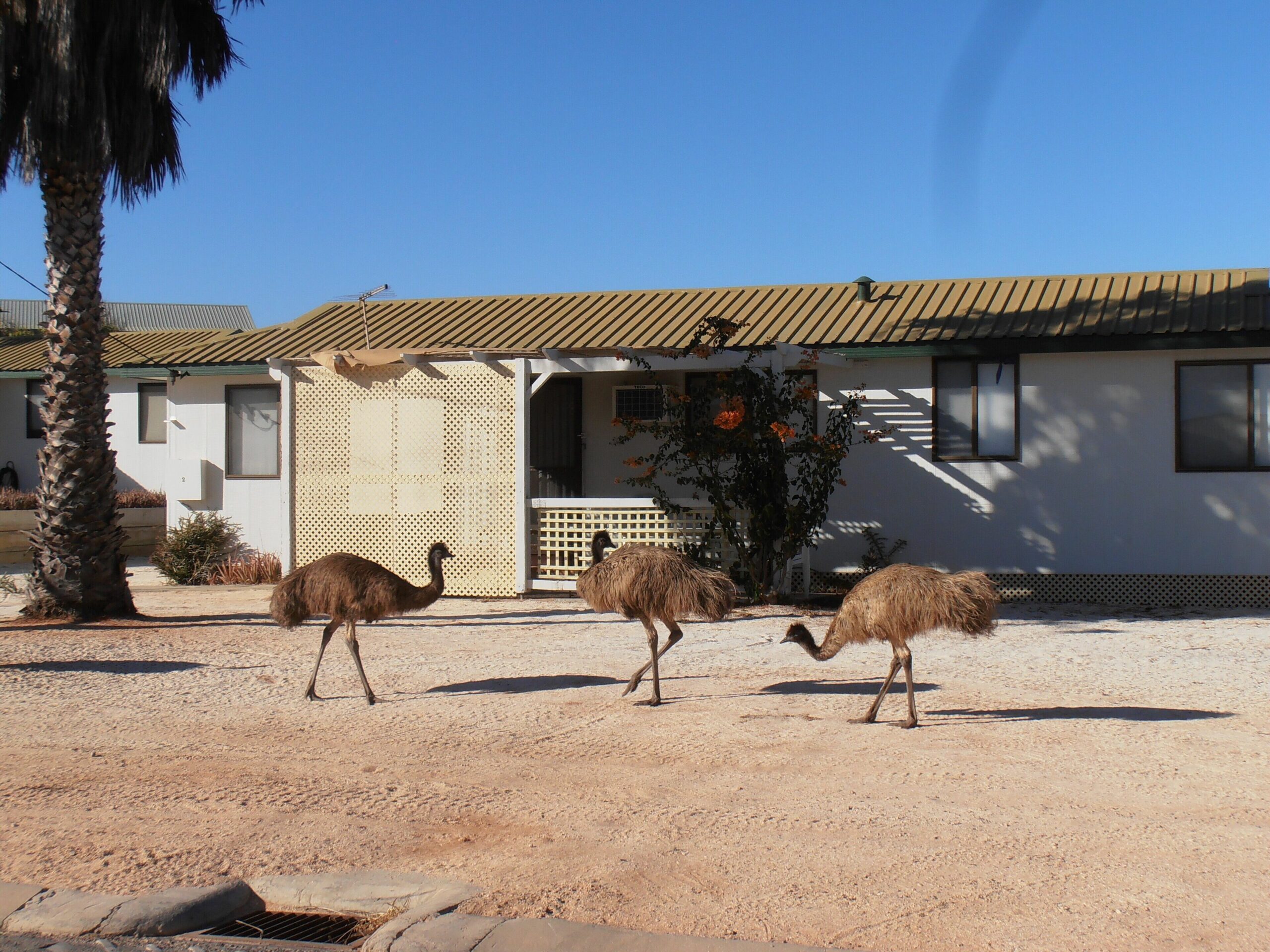 Hartog Cottage 2 Denham