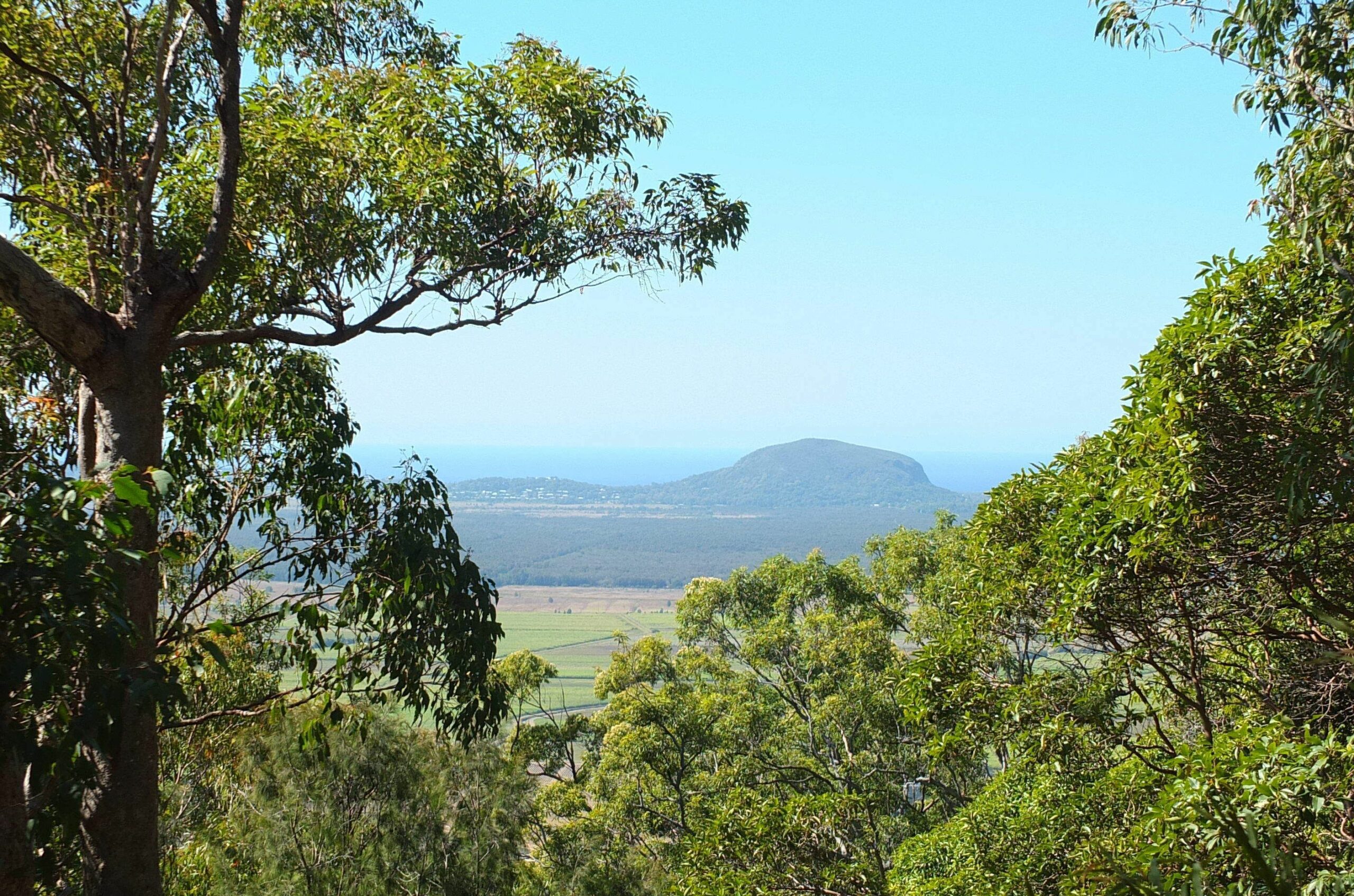 Noosa Hinterland acreage close to Coolum beach