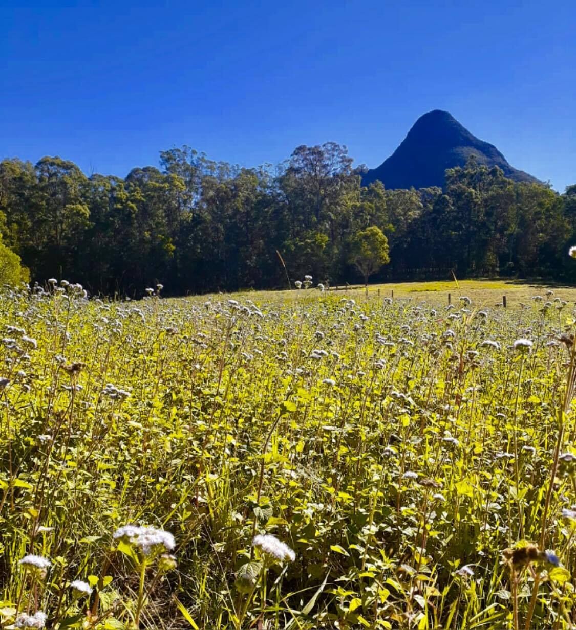 Sunshine Coast Farm Stay