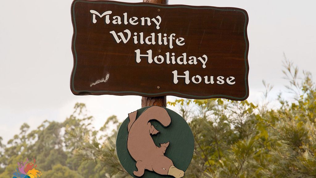 Maleny Wildlife Holiday House 4 Bedrooms